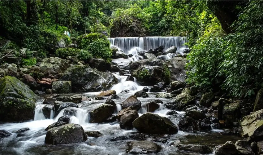 Best Monsoon Destinations in India Beyond Rajasthan: Hidden Green Escapes for Luxury Travelers