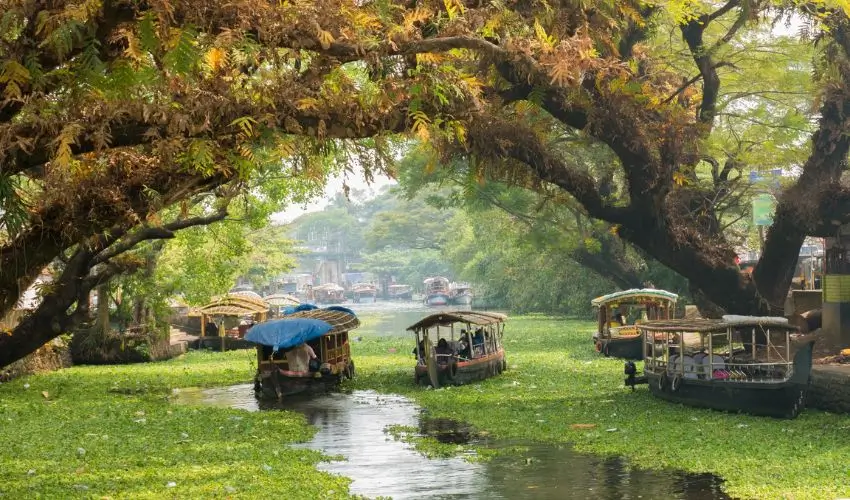 Kerala in December: Christmas Celebrations, Luxury Backwaters & the Ultimate Travel Guide
