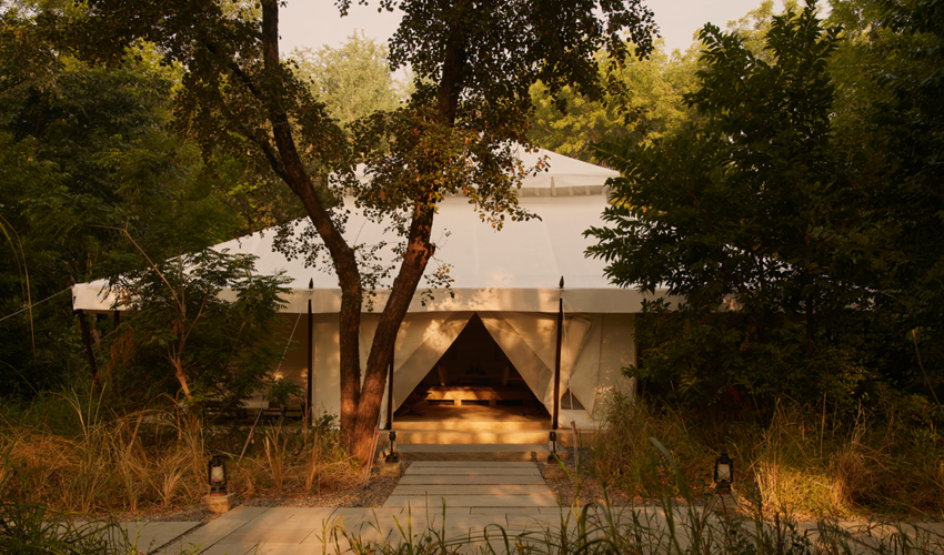 Slow Luxury Journeys Through Rajasthan | Privately Curated Heritage Travel