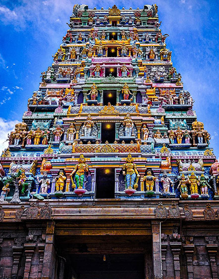 South India Tours | Luxury Kerala, Tamil Nadu & Cultural Journeys