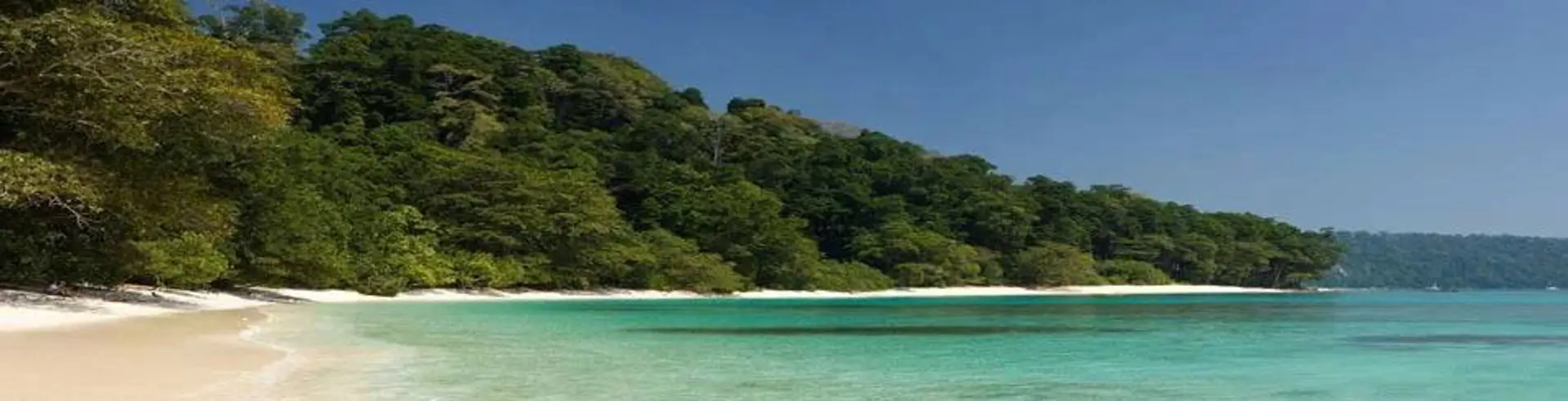 Andaman Marine Wildlife & Dugong Safari