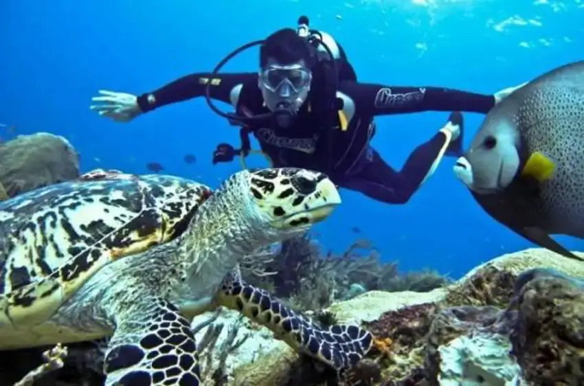 Andaman Marine Wildlife & Dugong Safari