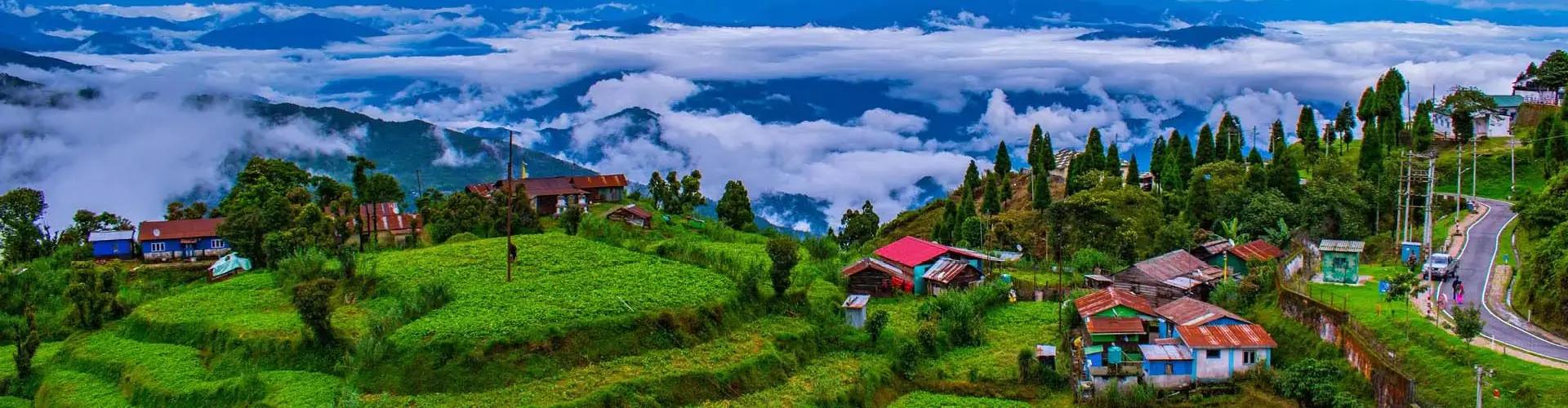 The Tea Sommelier’s Journey: Luxury Darjeeling & Sikkim Tea Trail – 8 Days