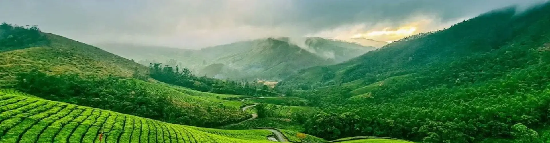 Exotic Kerala Luxury Journey with Munnar Hills