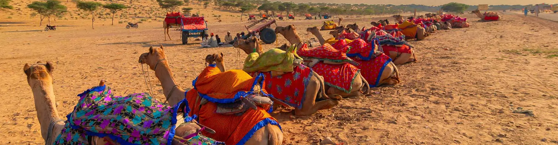 The Desert Circuit Hidden Gems of Rajasthan