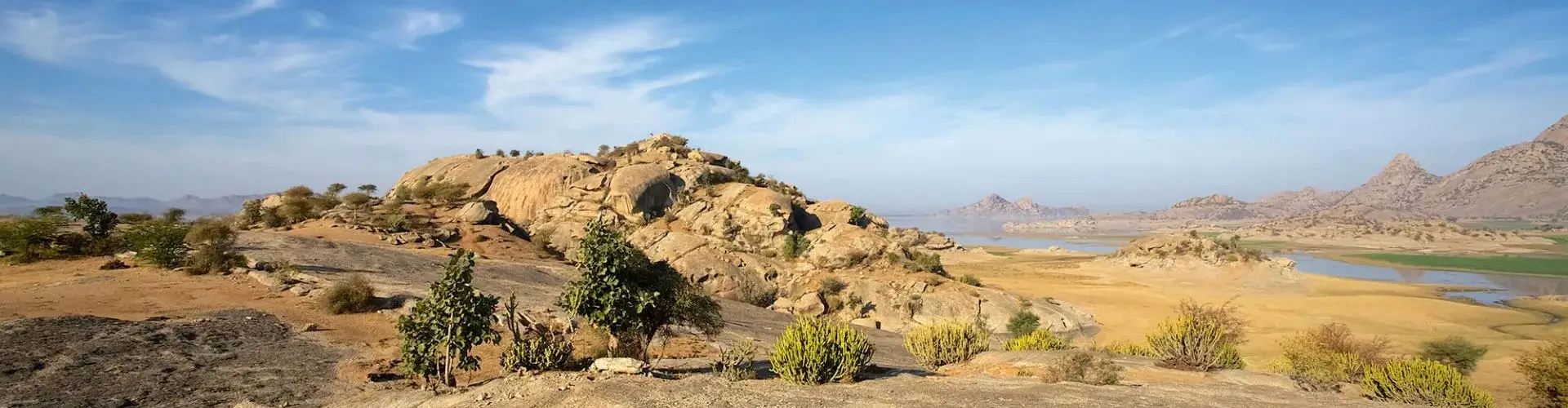 Wildlife Expedition Through India’s Leopard and Tiger Strongholds