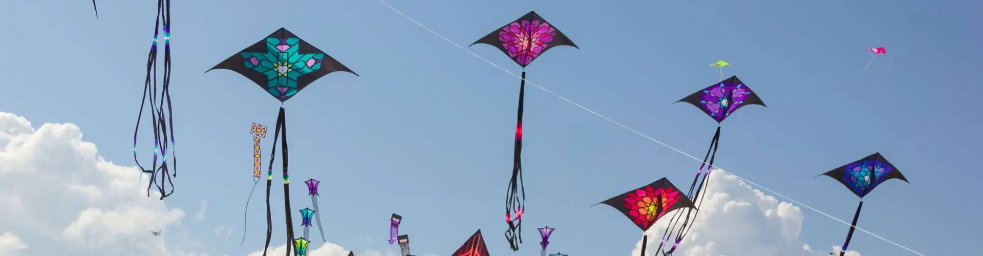 Luxury and Aerodynamics Journey Through India’s Legendary Kite Festival
