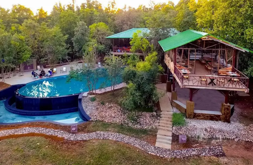 Luxury Central India Wildlife Honeymoon Tour