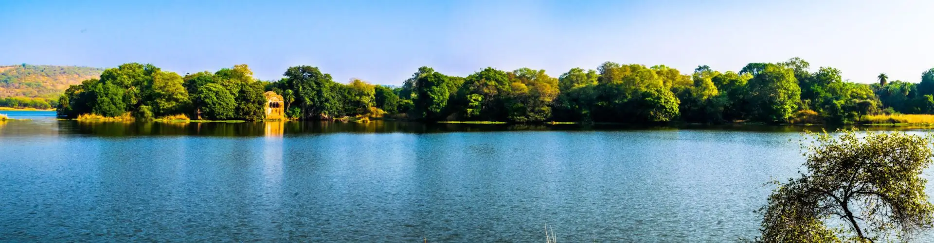 Luxury Ranthambore Tiger Safari