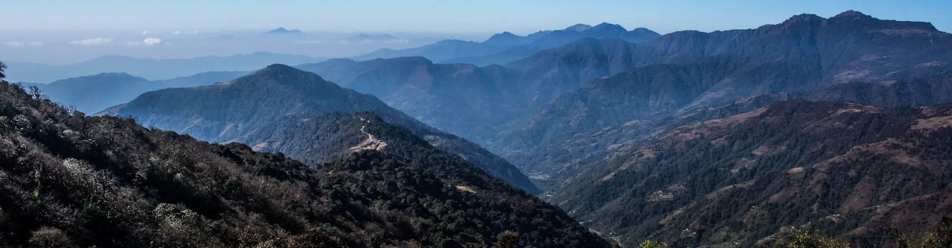 Luxury Red Panda Safari in Eastern Himalayas