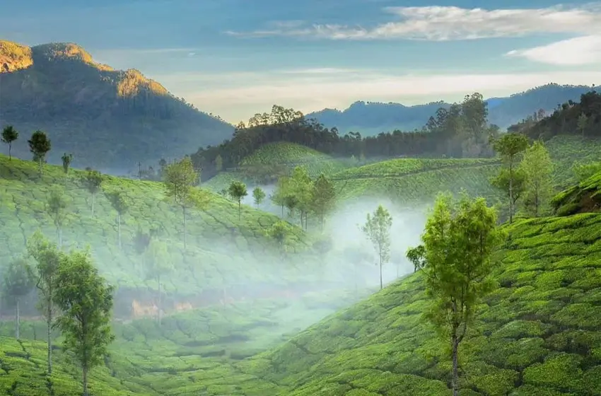 The Spice Trail: Kerala Culinary Luxury Tour with Heritage & Farm Stays – 7 Days