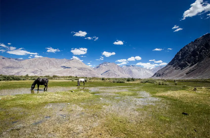 A 12-Day Slow Travel Journey Through Ladakh’s Remote Valleys, Border Villages, and Healing Traditions