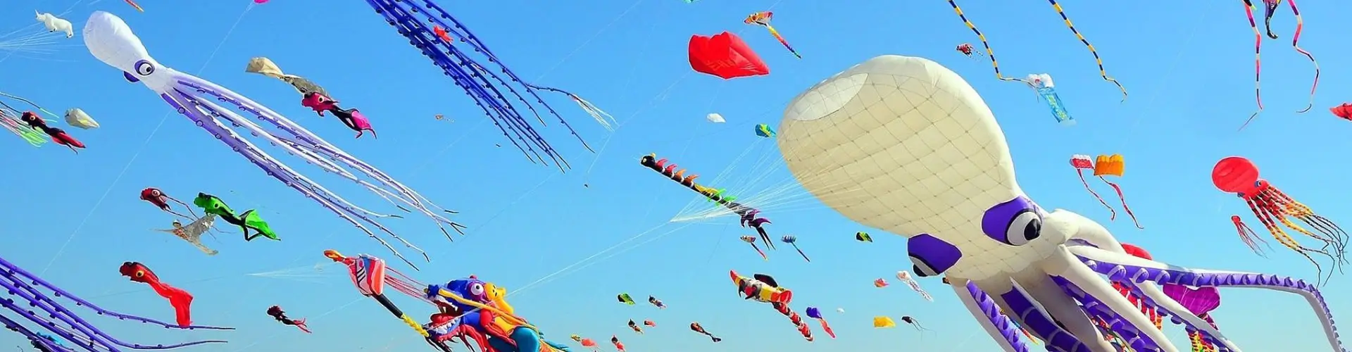 The Sky Festivals