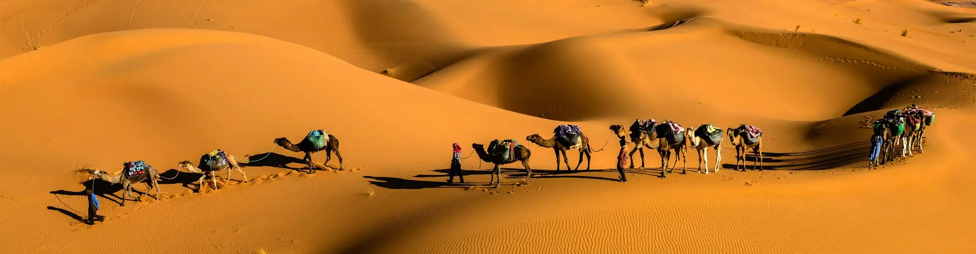 10-Day Royal Rajasthan Heritage Tour  Jaipur, Pushkar & Jodhpur Cultural Trail
