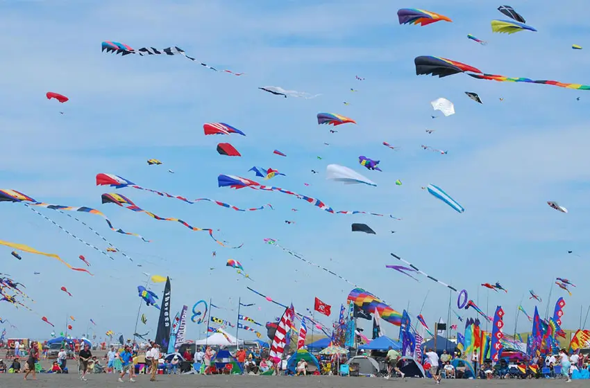 Luxury and Aerodynamics Journey Through India’s Legendary Kite Festival