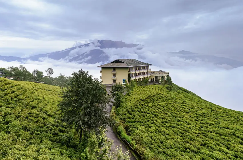 An 8-Day Immersive Tea Journey Through Darjeeling and Sikkim’s Mountain Estates
